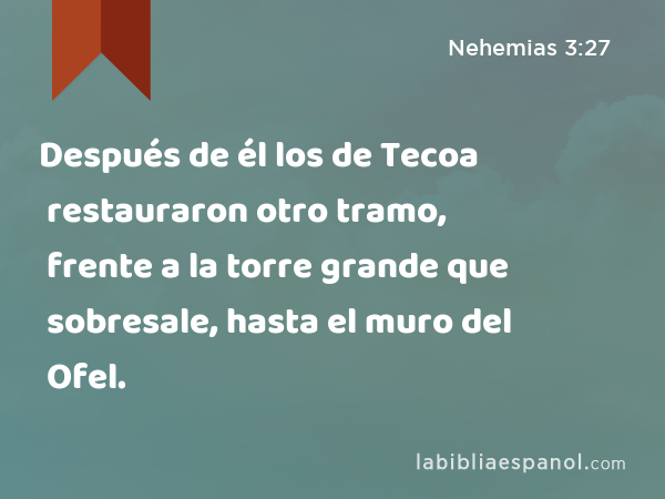 Después de él los de Tecoa restauraron otro tramo, frente a la torre grande que sobresale, hasta el muro del Ofel. - Nehemias 3:27