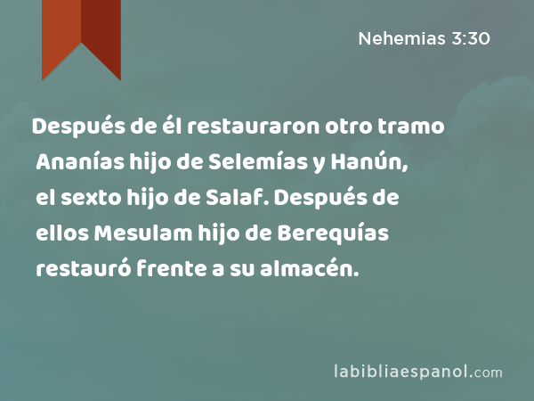 Después de él restauraron otro tramo Ananías hijo de Selemías y Hanún, el sexto hijo de Salaf. Después de ellos Mesulam hijo de Berequías restauró frente a su almacén. - Nehemias 3:30