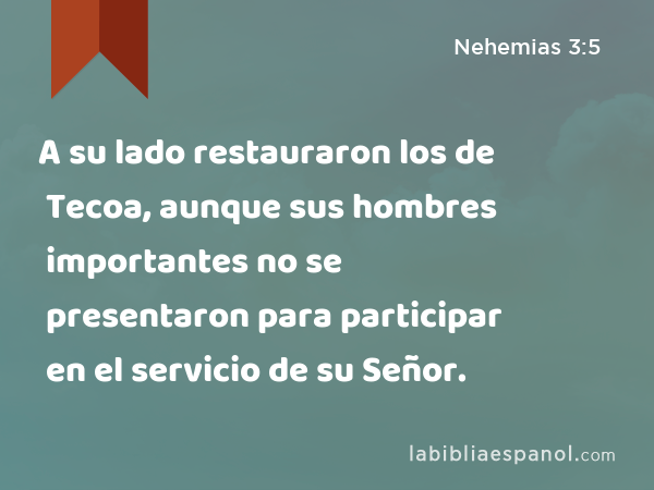 A su lado restauraron los de Tecoa, aunque sus hombres importantes no se presentaron para participar en el servicio de su Señor. - Nehemias 3:5