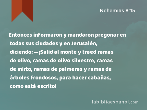 Entonces informaron y mandaron pregonar en todas sus ciudades y en Jerusalén, diciendo: —¡Salid al monte y traed ramas de olivo, ramas de olivo silvestre, ramas de mirto, ramas de palmeras y ramas de árboles frondosos, para hacer cabañas, como está escrito! - Nehemias 8:15