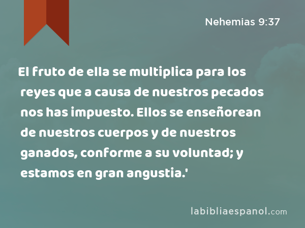 El fruto de ella se multiplica para los reyes que a causa de nuestros pecados nos has impuesto. Ellos se enseñorean de nuestros cuerpos y de nuestros ganados, conforme a su voluntad; y estamos en gran angustia.' - Nehemias 9:37