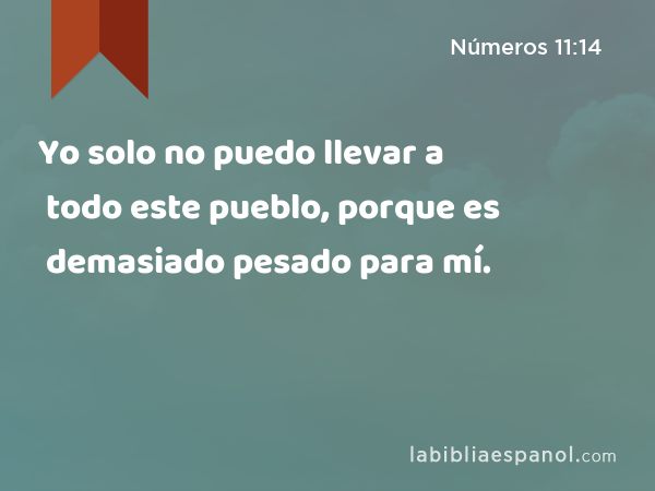 Yo solo no puedo llevar a todo este pueblo, porque es demasiado pesado para mí. - Números 11:14