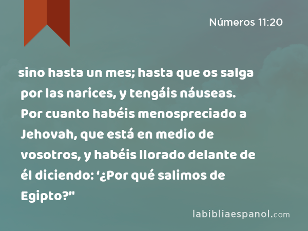 sino hasta un mes; hasta que os salga por las narices, y tengáis náuseas. Por cuanto habéis menospreciado a Jehovah, que está en medio de vosotros, y habéis llorado delante de él diciendo: ‘¿Por qué salimos de Egipto?’' - Números 11:20