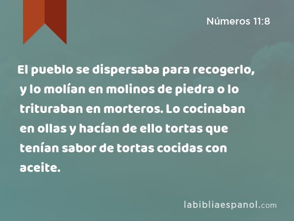 El pueblo se dispersaba para recogerlo, y lo molían en molinos de piedra o lo trituraban en morteros. Lo cocinaban en ollas y hacían de ello tortas que tenían sabor de tortas cocidas con aceite. - Números 11:8