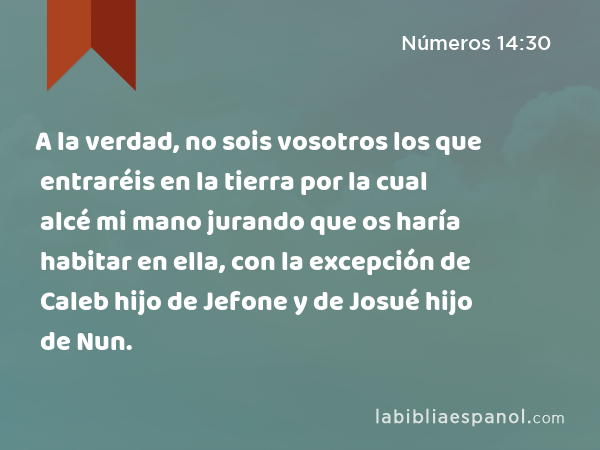 A la verdad, no sois vosotros los que entraréis en la tierra por la cual alcé mi mano jurando que os haría habitar en ella, con la excepción de Caleb hijo de Jefone y de Josué hijo de Nun. - Números 14:30