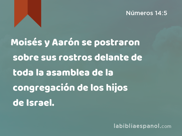 Moisés y Aarón se postraron sobre sus rostros delante de toda la asamblea de la congregación de los hijos de Israel. - Números 14:5