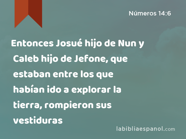 Entonces Josué hijo de Nun y Caleb hijo de Jefone, que estaban entre los que habían ido a explorar la tierra, rompieron sus vestiduras - Números 14:6