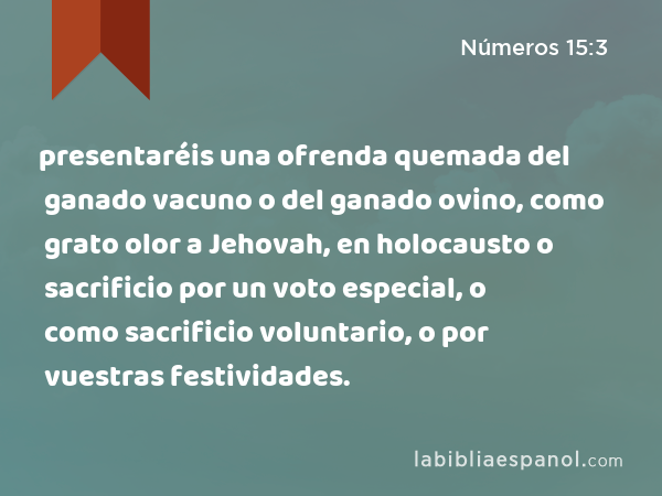 presentaréis una ofrenda quemada del ganado vacuno o del ganado ovino, como grato olor a Jehovah, en holocausto o sacrificio por un voto especial, o como sacrificio voluntario, o por vuestras festividades. - Números 15:3