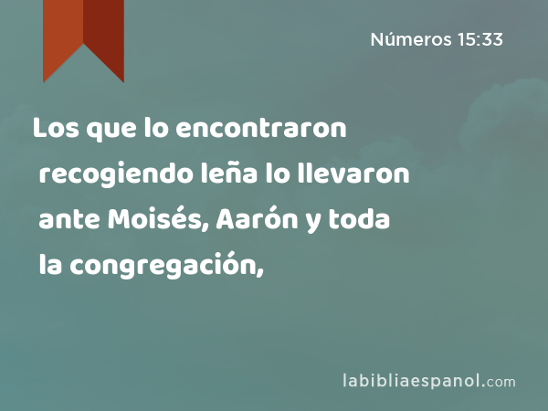 Los que lo encontraron recogiendo leña lo llevaron ante Moisés, Aarón y toda la congregación, - Números 15:33