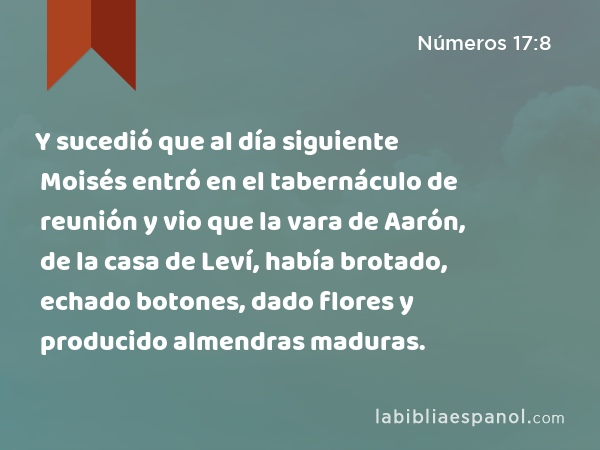 Y sucedió que al día siguiente Moisés entró en el tabernáculo de reunión y vio que la vara de Aarón, de la casa de Leví, había brotado, echado botones, dado flores y producido almendras maduras. - Números 17:8