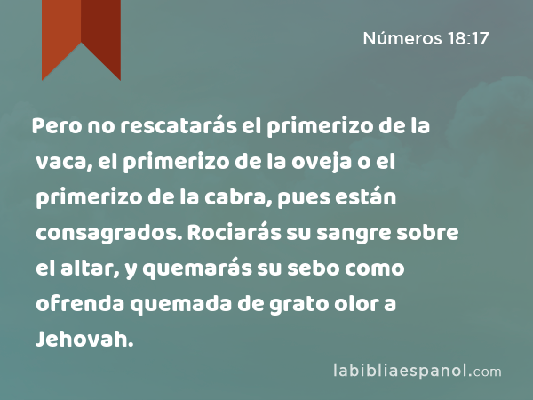 Pero no rescatarás el primerizo de la vaca, el primerizo de la oveja o el primerizo de la cabra, pues están consagrados. Rociarás su sangre sobre el altar, y quemarás su sebo como ofrenda quemada de grato olor a Jehovah. - Números 18:17