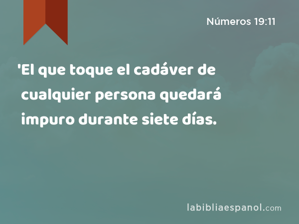 'El que toque el cadáver de cualquier persona quedará impuro durante siete días. - Números 19:11