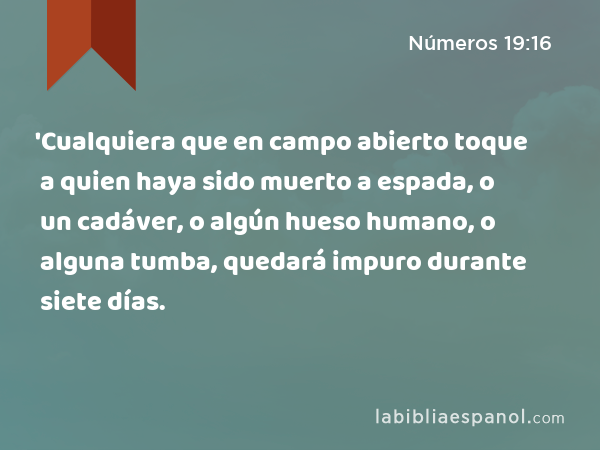 'Cualquiera que en campo abierto toque a quien haya sido muerto a espada, o un cadáver, o algún hueso humano, o alguna tumba, quedará impuro durante siete días. - Números 19:16