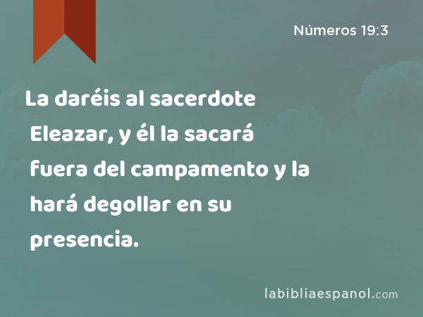 La daréis al sacerdote Eleazar, y él la sacará fuera del campamento y la hará degollar en su presencia. - Números 19:3