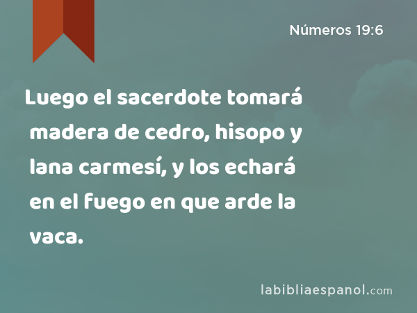 Luego el sacerdote tomará madera de cedro, hisopo y lana carmesí, y los echará en el fuego en que arde la vaca. - Números 19:6