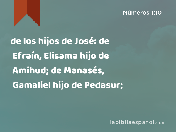 de los hijos de José: de Efraín, Elisama hijo de Amihud; de Manasés, Gamaliel hijo de Pedasur; - Números 1:10