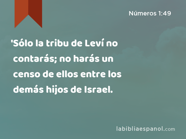 'Sólo la tribu de Leví no contarás; no harás un censo de ellos entre los demás hijos de Israel. - Números 1:49