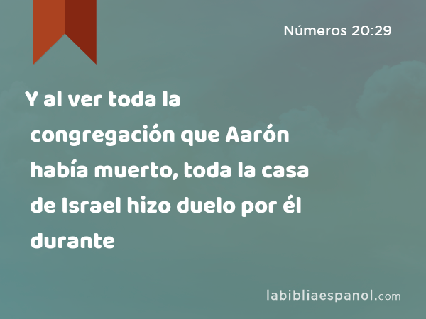 Y al ver toda la congregación que Aarón había muerto, toda la casa de Israel hizo duelo por él durante - Números 20:29