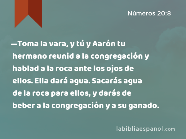 —Toma la vara, y tú y Aarón tu hermano reunid a la congregación y hablad a la roca ante los ojos de ellos. Ella dará agua. Sacarás agua de la roca para ellos, y darás de beber a la congregación y a su ganado. - Números 20:8