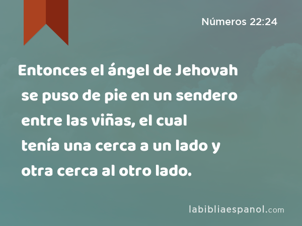 Entonces el ángel de Jehovah se puso de pie en un sendero entre las viñas, el cual tenía una cerca a un lado y otra cerca al otro lado. - Números 22:24