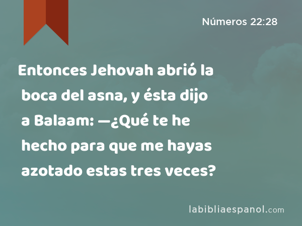 Entonces Jehovah abrió la boca del asna, y ésta dijo a Balaam: —¿Qué te he hecho para que me hayas azotado estas tres veces? - Números 22:28