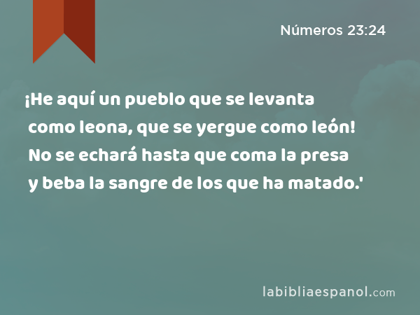 ¡He aquí un pueblo que se levanta como leona, que se yergue como león! No se echará hasta que coma la presa y beba la sangre de los que ha matado.' - Números 23:24