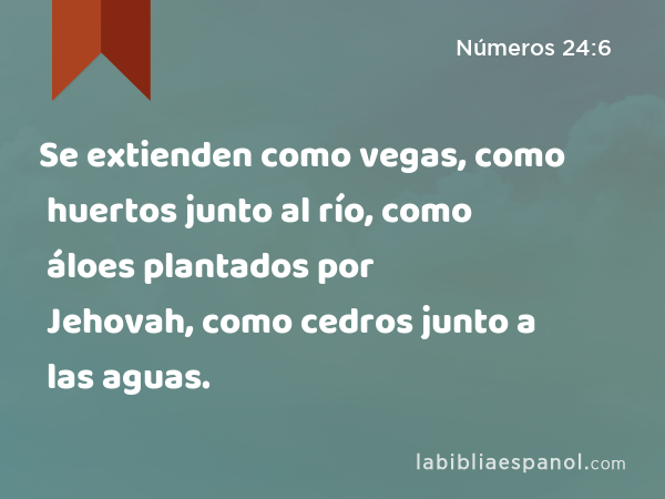 Se extienden como vegas, como huertos junto al río, como áloes plantados por Jehovah, como cedros junto a las aguas. - Números 24:6