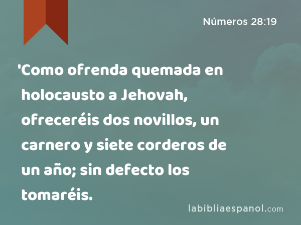 'Como ofrenda quemada en holocausto a Jehovah, ofreceréis dos novillos, un carnero y siete corderos de un año; sin defecto los tomaréis. - Números 28:19