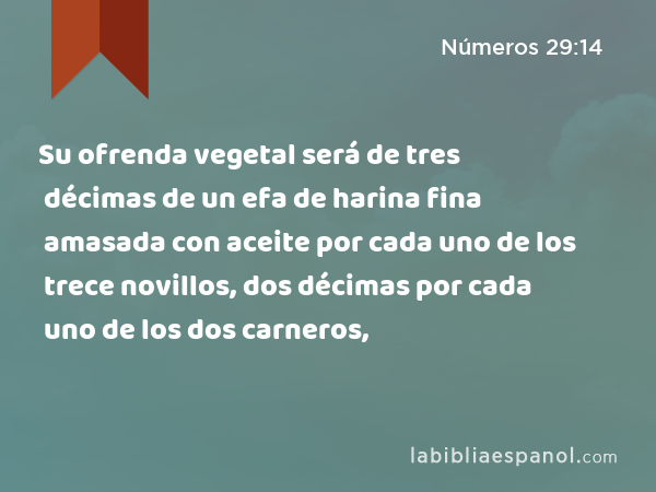 Su ofrenda vegetal será de tres décimas de un efa de harina fina amasada con aceite por cada uno de los trece novillos, dos décimas por cada uno de los dos carneros, - Números 29:14