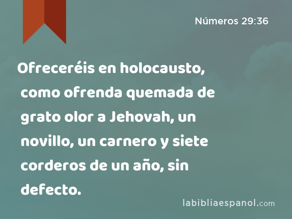 Ofreceréis en holocausto, como ofrenda quemada de grato olor a Jehovah, un novillo, un carnero y siete corderos de un año, sin defecto. - Números 29:36