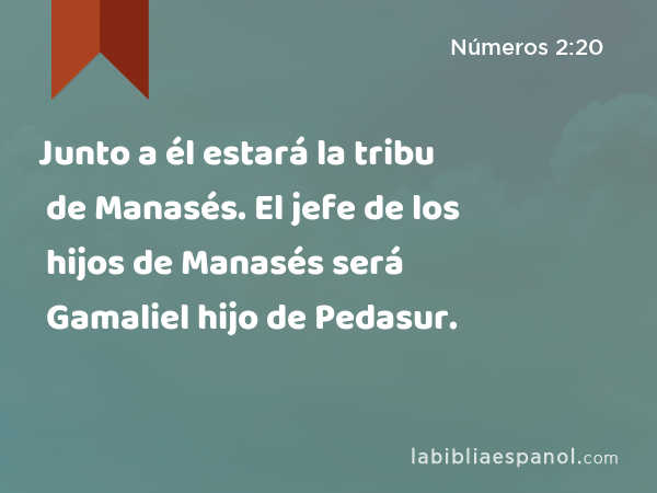 Junto a él estará la tribu de Manasés. El jefe de los hijos de Manasés será Gamaliel hijo de Pedasur. - Números 2:20