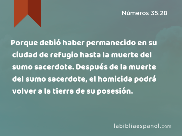 Porque debió haber permanecido en su ciudad de refugio hasta la muerte del sumo sacerdote. Después de la muerte del sumo sacerdote, el homicida podrá volver a la tierra de su posesión. - Números 35:28