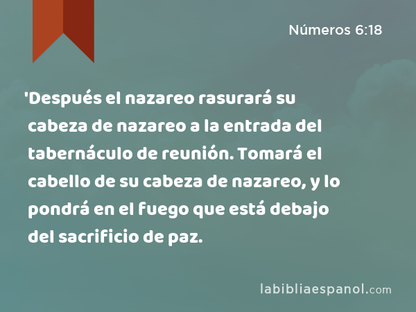 'Después el nazareo rasurará su cabeza de nazareo a la entrada del tabernáculo de reunión. Tomará el cabello de su cabeza de nazareo, y lo pondrá en el fuego que está debajo del sacrificio de paz. - Números 6:18