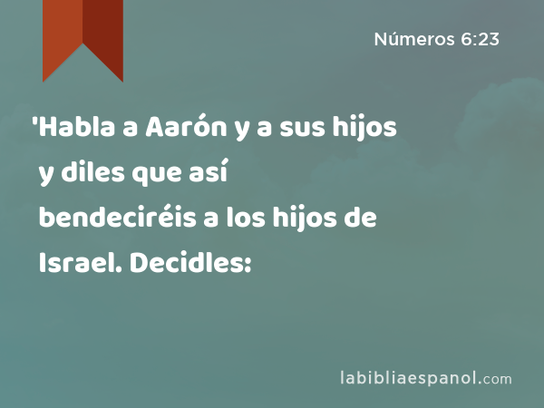 'Habla a Aarón y a sus hijos y diles que así bendeciréis a los hijos de Israel. Decidles: - Números 6:23