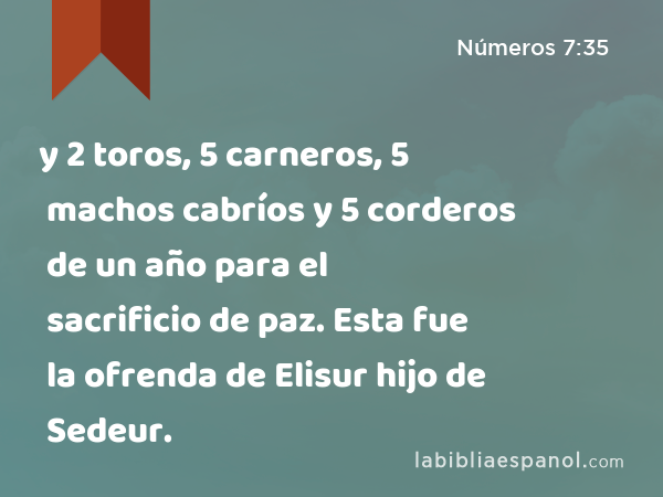 y 2 toros, 5 carneros, 5 machos cabríos y 5 corderos de un año para el sacrificio de paz. Esta fue la ofrenda de Elisur hijo de Sedeur. - Números 7:35