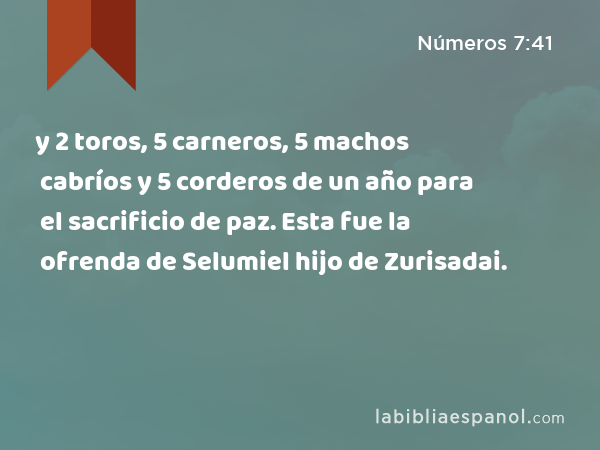 y 2 toros, 5 carneros, 5 machos cabríos y 5 corderos de un año para el sacrificio de paz. Esta fue la ofrenda de Selumiel hijo de Zurisadai. - Números 7:41