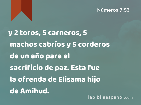 y 2 toros, 5 carneros, 5 machos cabríos y 5 corderos de un año para el sacrificio de paz. Esta fue la ofrenda de Elisama hijo de Amihud. - Números 7:53