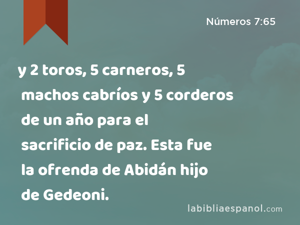 y 2 toros, 5 carneros, 5 machos cabríos y 5 corderos de un año para el sacrificio de paz. Esta fue la ofrenda de Abidán hijo de Gedeoni. - Números 7:65