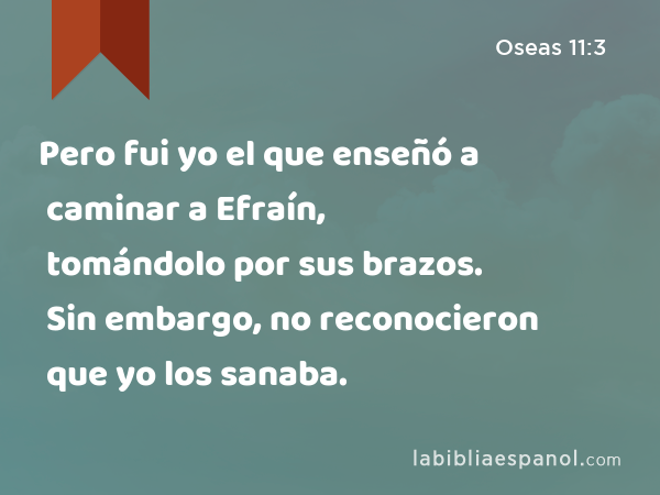 Pero fui yo el que enseñó a caminar a Efraín, tomándolo por sus brazos. Sin embargo, no reconocieron que yo los sanaba. - Oseas 11:3