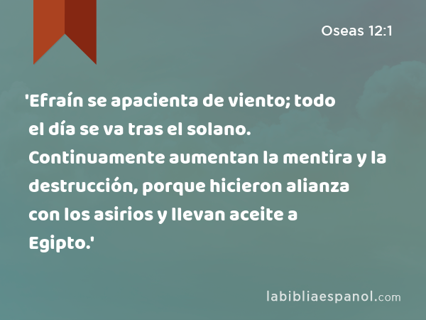 'Efraín se apacienta de viento; todo el día se va tras el solano. Continuamente aumentan la mentira y la destrucción, porque hicieron alianza con los asirios y llevan aceite a Egipto.' - Oseas 12:1