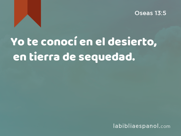 Yo te conocí en el desierto, en tierra de sequedad. - Oseas 13:5