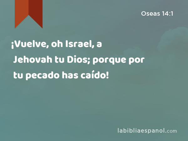 ¡Vuelve, oh Israel, a Jehovah tu Dios; porque por tu pecado has caído! - Oseas 14:1