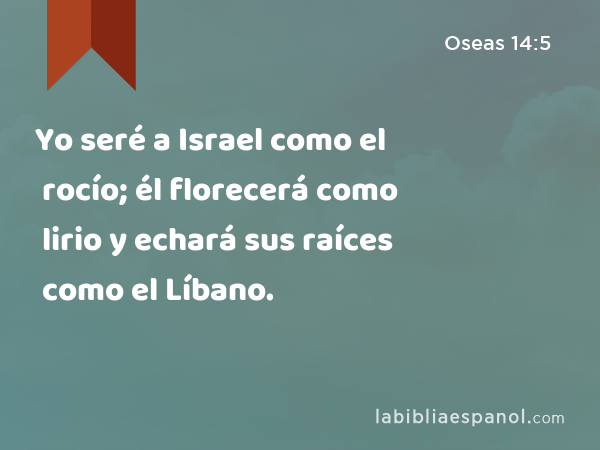 Yo seré a Israel como el rocío; él florecerá como lirio y echará sus raíces como el Líbano. - Oseas 14:5