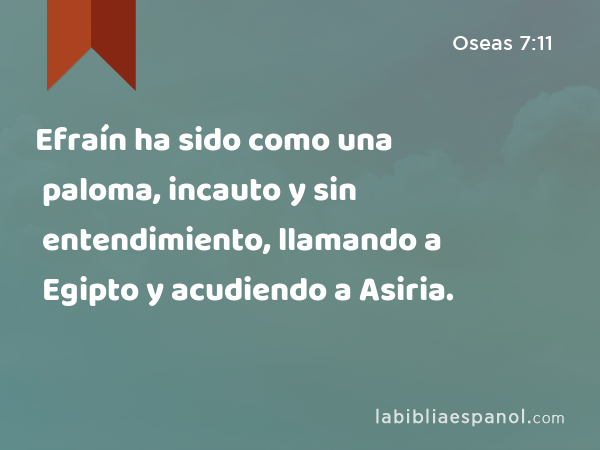 Efraín ha sido como una paloma, incauto y sin entendimiento, llamando a Egipto y acudiendo a Asiria. - Oseas 7:11