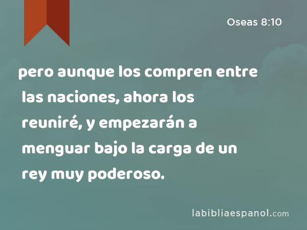 pero aunque los compren entre las naciones, ahora los reuniré, y empezarán a menguar bajo la carga de un rey muy poderoso. - Oseas 8:10