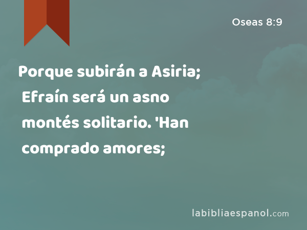 Porque subirán a Asiria; Efraín será un asno montés solitario. 'Han comprado amores; - Oseas 8:9