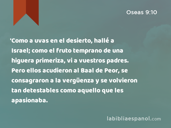 'Como a uvas en el desierto, hallé a Israel; como el fruto temprano de una higuera primeriza, vi a vuestros padres. Pero ellos acudieron al Baal de Peor, se consagraron a la vergüenza y se volvieron tan detestables como aquello que les apasionaba. - Oseas 9:10