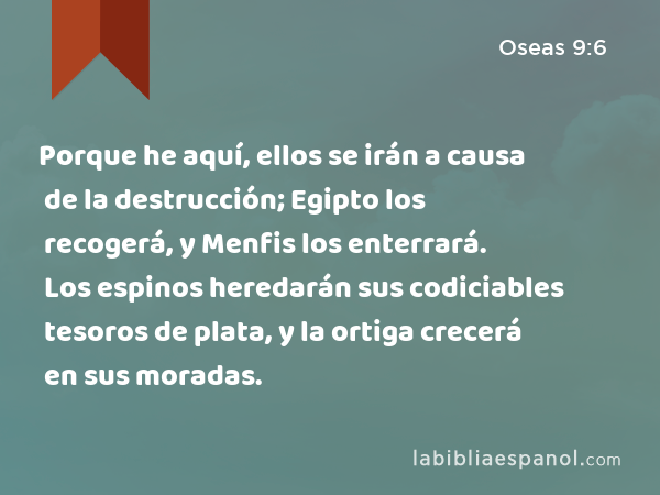 Porque he aquí, ellos se irán a causa de la destrucción; Egipto los recogerá, y Menfis los enterrará. Los espinos heredarán sus codiciables tesoros de plata, y la ortiga crecerá en sus moradas. - Oseas 9:6