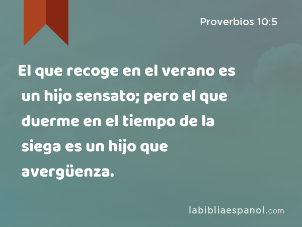 El que recoge en el verano es un hijo sensato; pero el que duerme en el tiempo de la siega es un hijo que avergüenza. - Proverbios 10:5