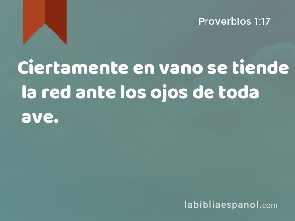 Ciertamente en vano se tiende la red ante los ojos de toda ave. - Proverbios 1:17